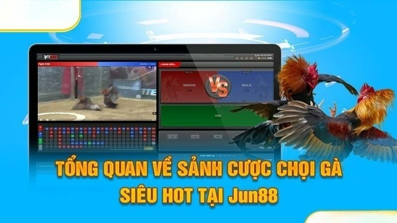 Tổng quan thông tin cơ bản sơ lược về đá gà Jun88